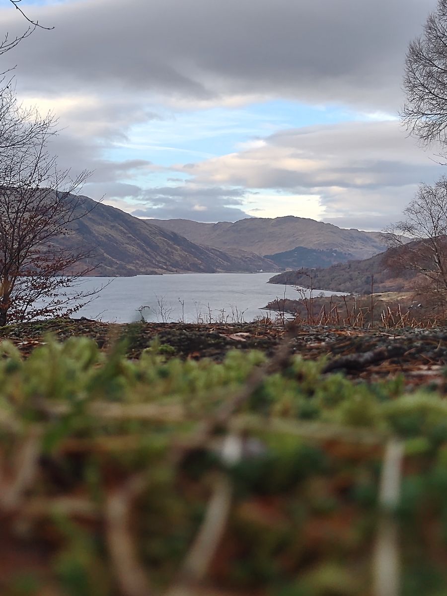 Loch Sunart