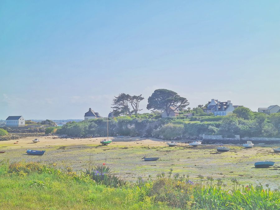 At low tide