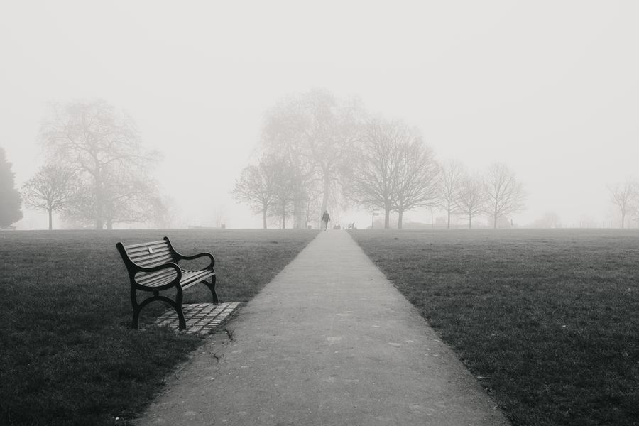 Brockwell Fog