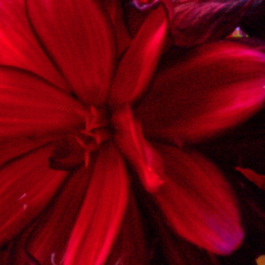 Pinhole number two 2020