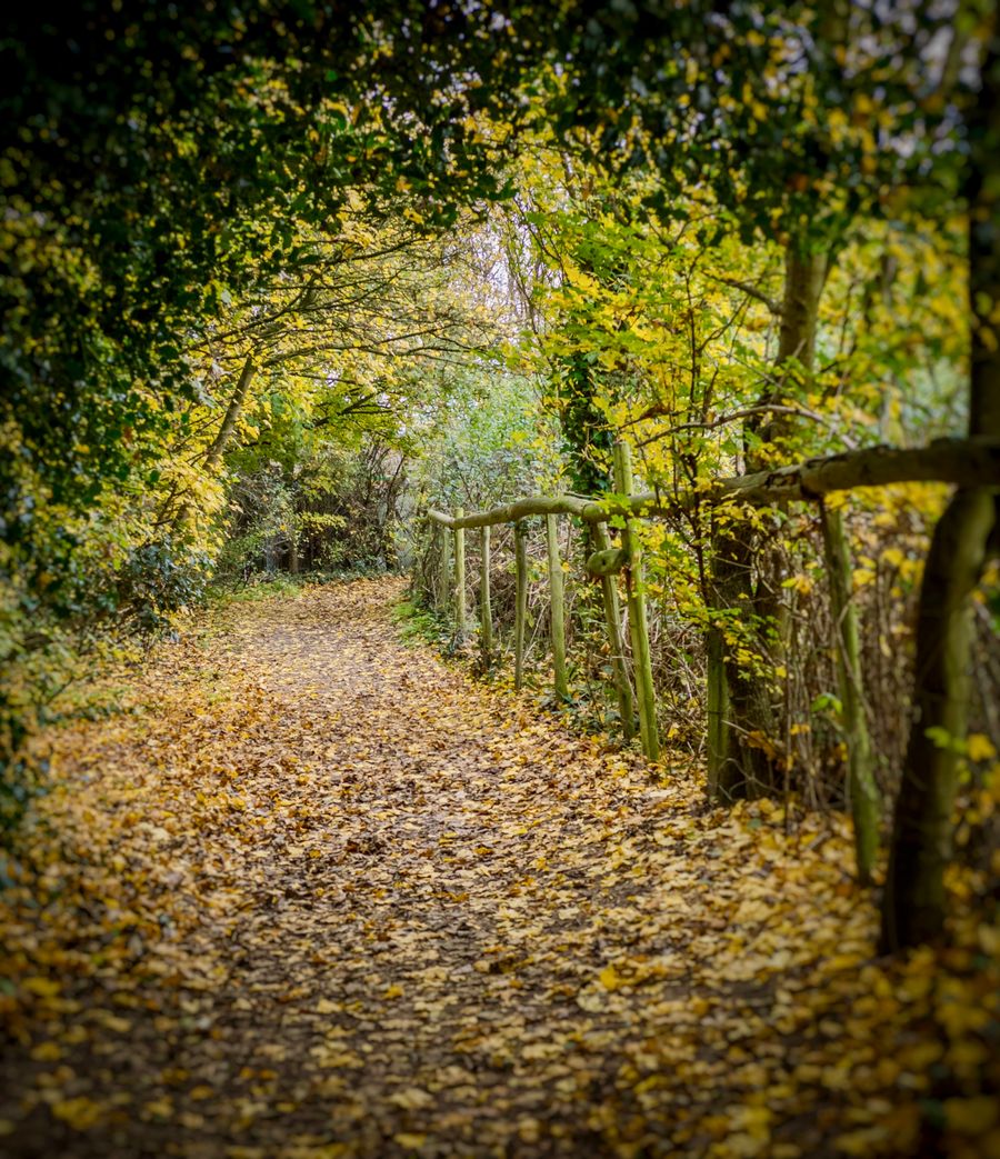 Autumn country walk