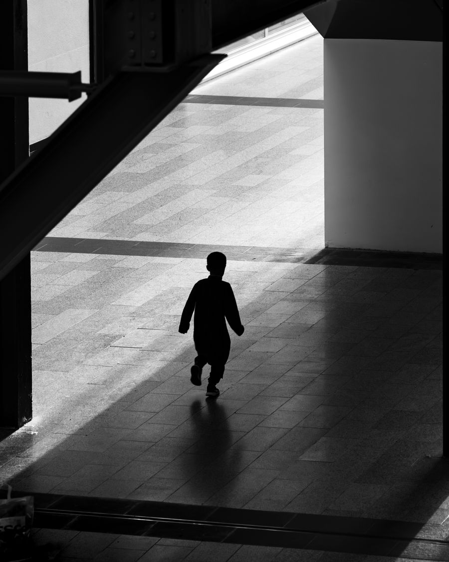 "Chasing the Light" 