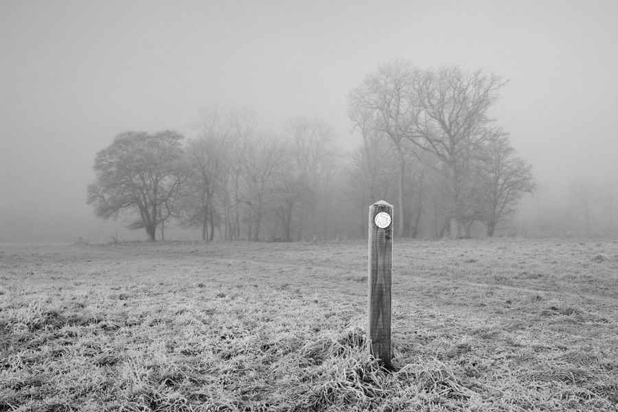 Frosty mist