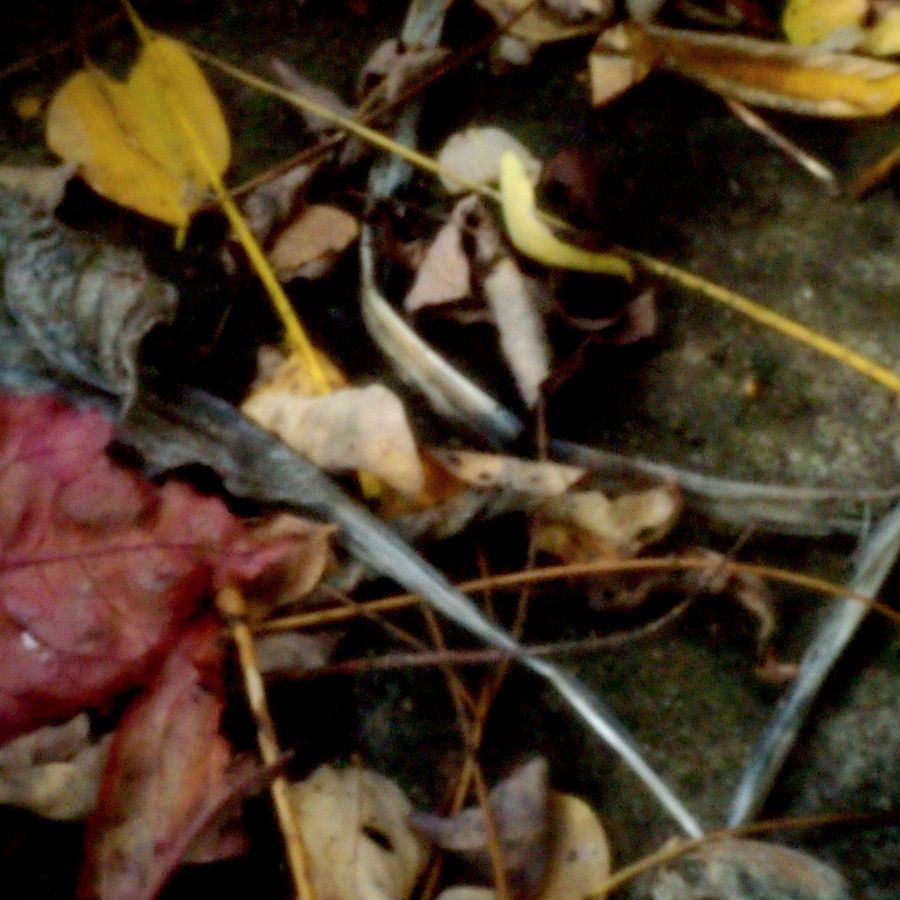 Pinhole number three 2020