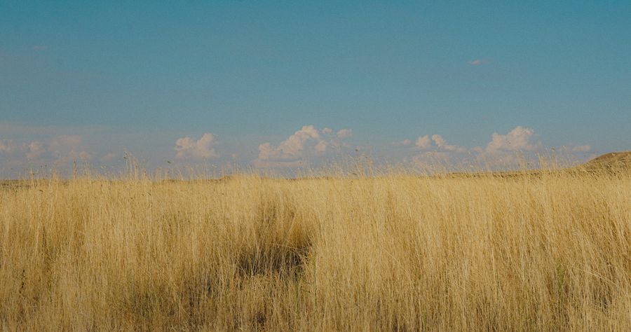 Out West In The Fields