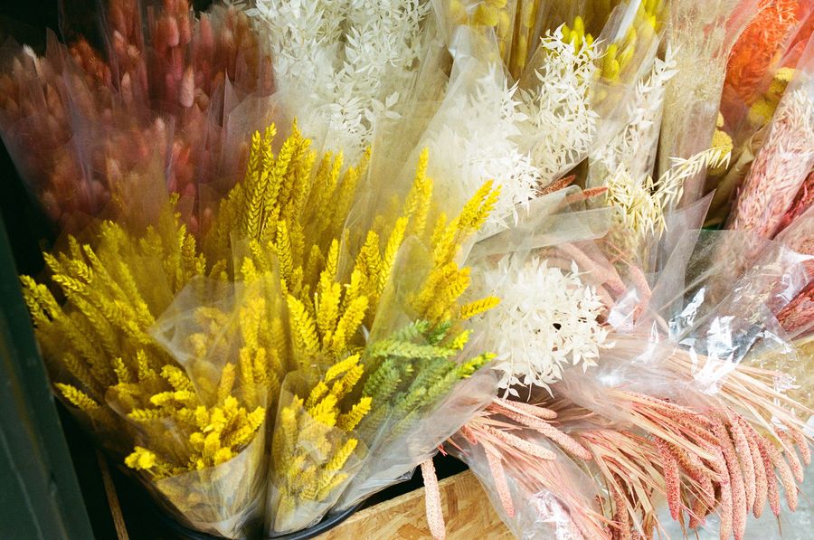 Flowers