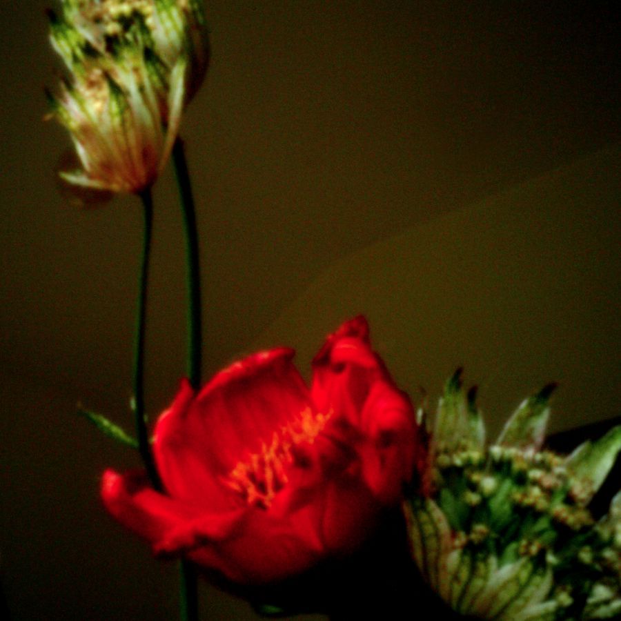Pinhole number one 2020