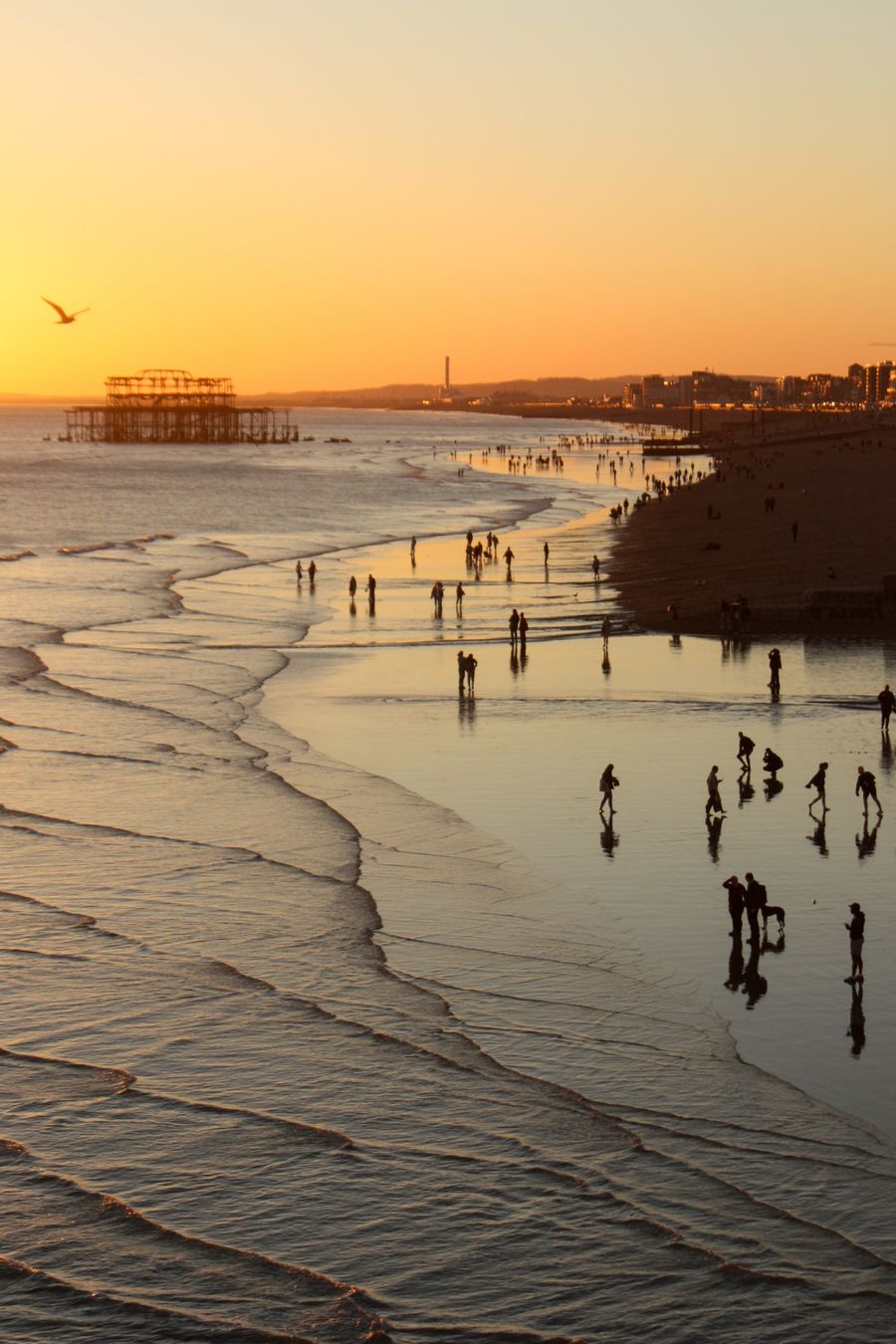 Low tide love