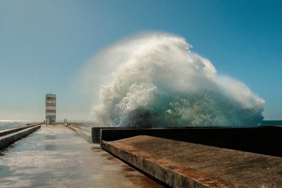 The wave