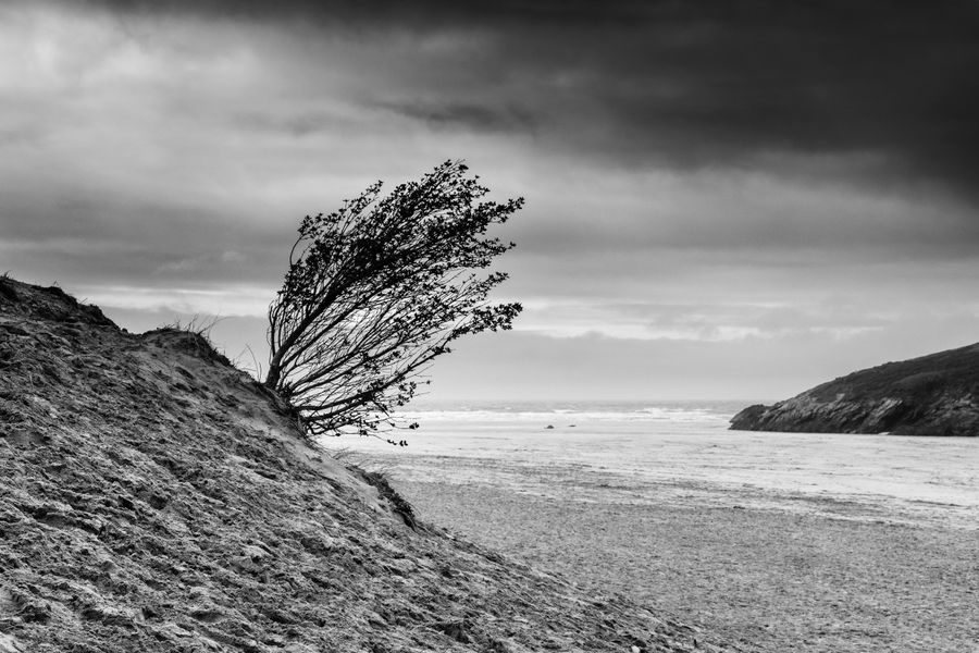 'Crantock beach in Cornwall'