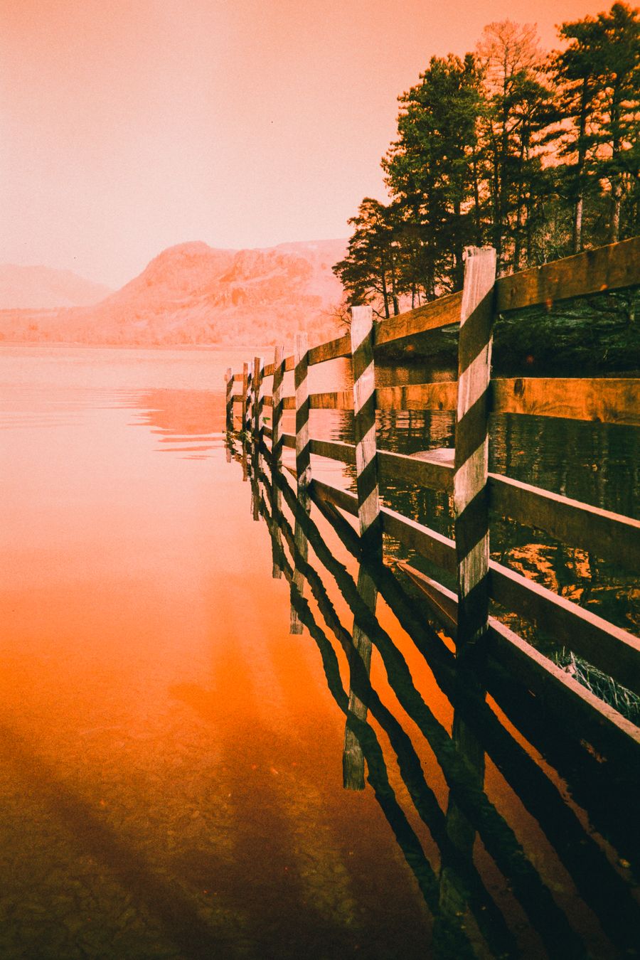 Fence reflection