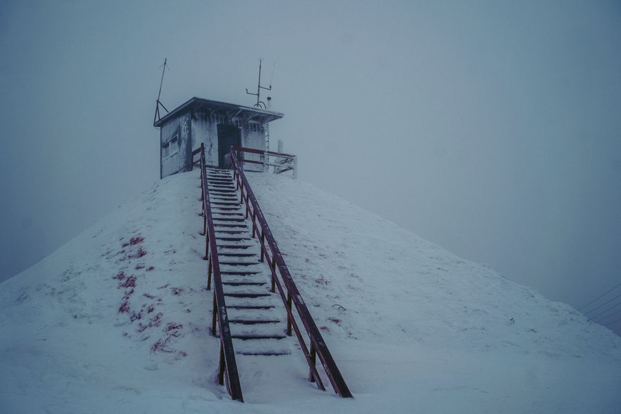 Shelter