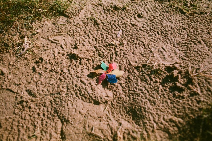 An Old Toy Lost to Wind and Tide
