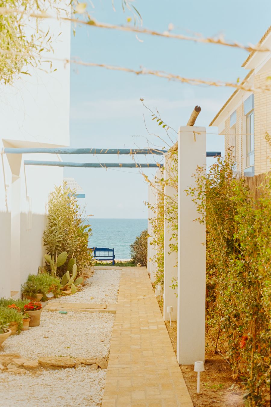 Pathway to the Sea