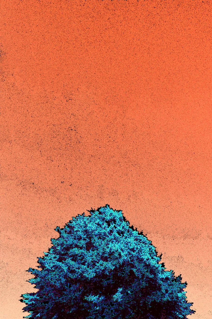 Altered Perceptions: tree