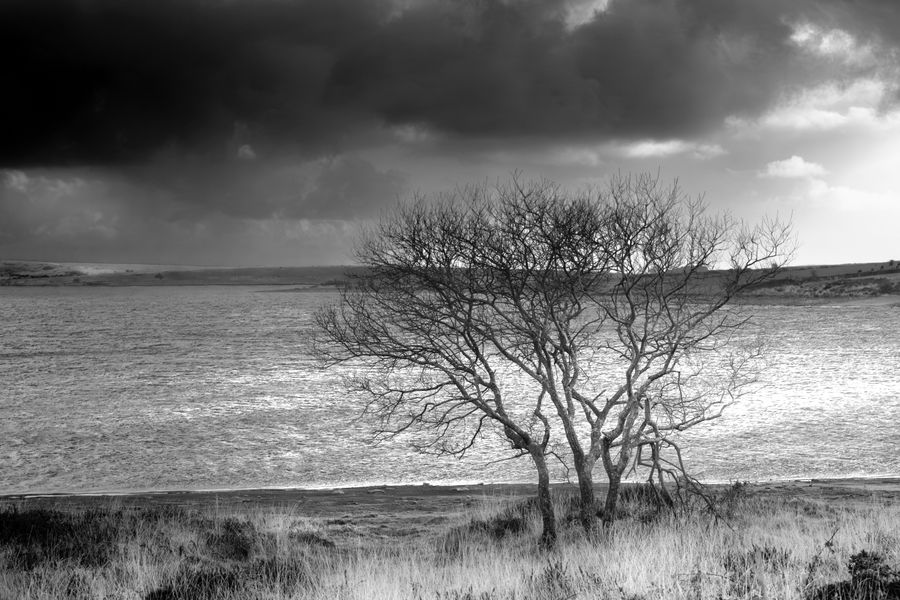 'Colliford Lake on Bodmin Moor'