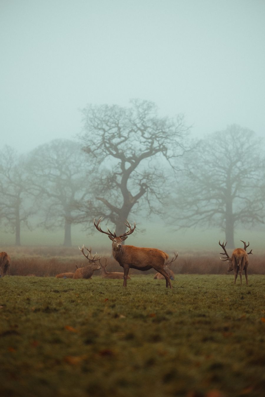 Wollaton Hall