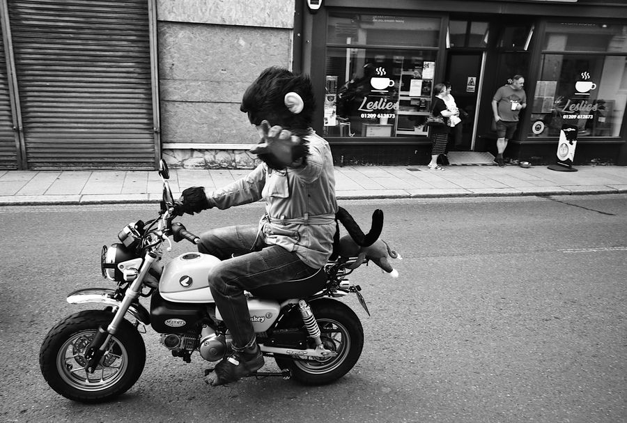 Monkey Biker