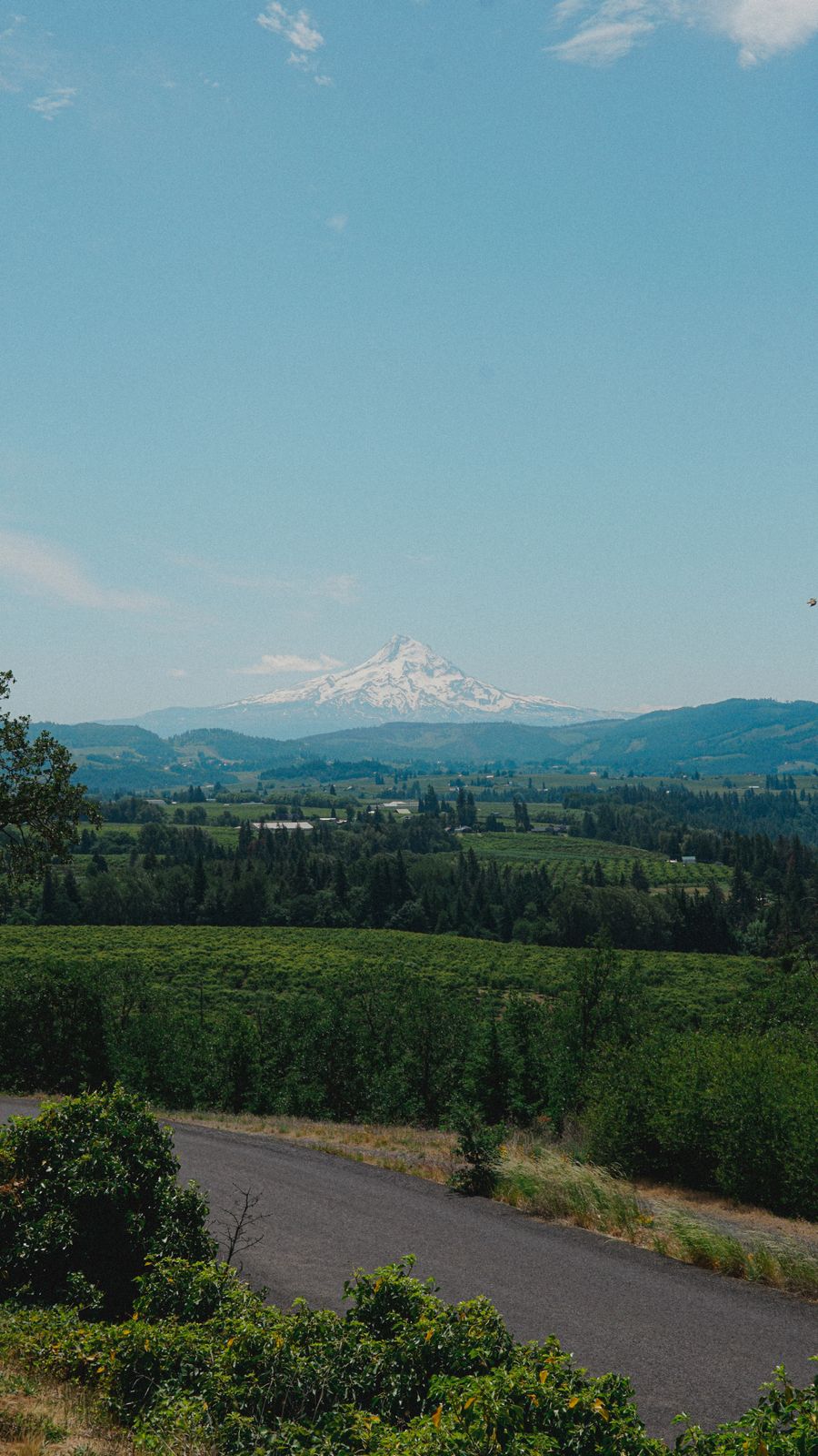 Mount Hood