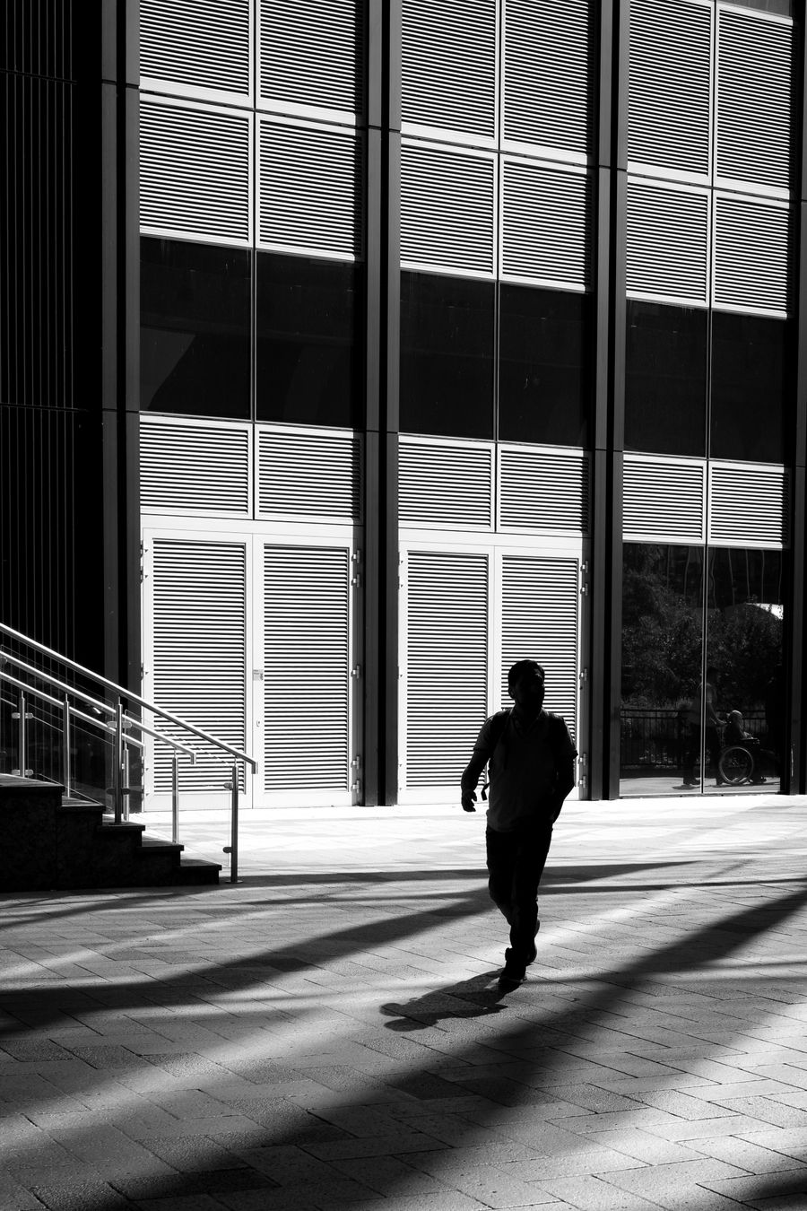 Canary Silhouette 