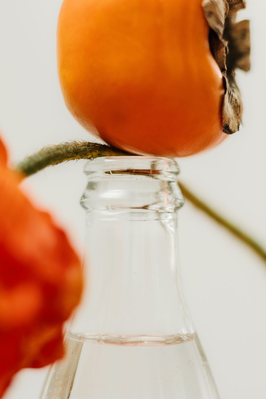 Persimmon