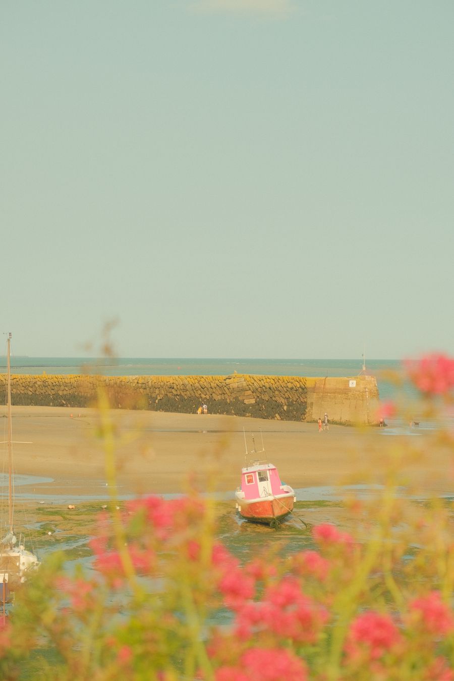 Pink Boat in the Harbour