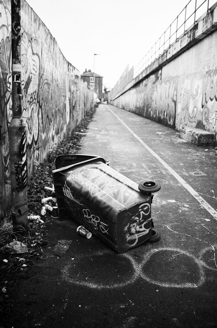 Bin collection day