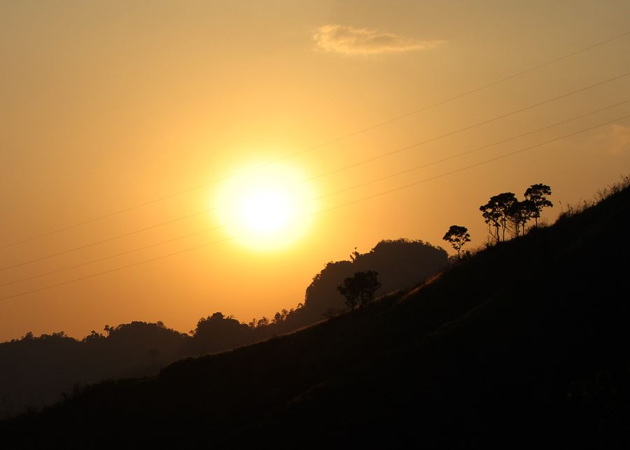 Sunshine
