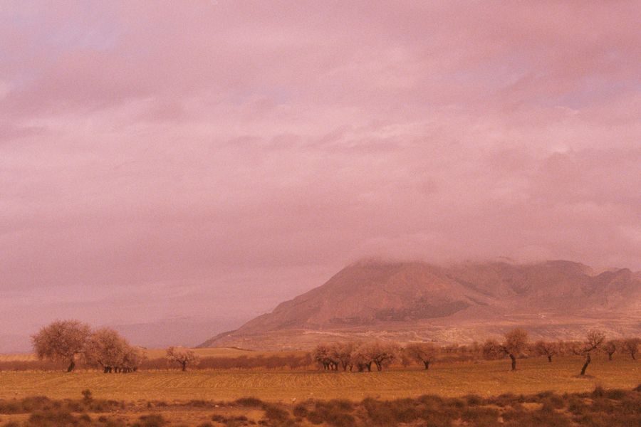 Everything's pink