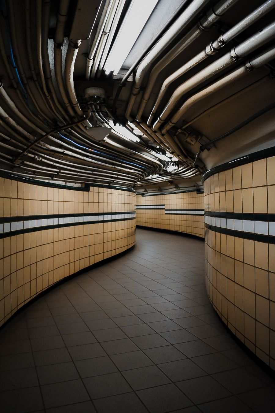 Lines and Curves 