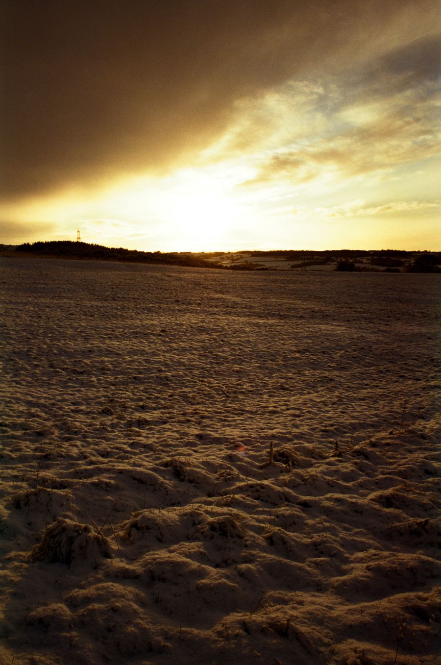 Winter Sunset