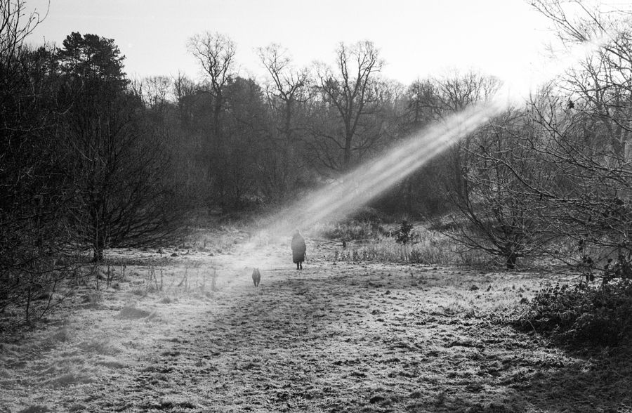 Ray of Light
