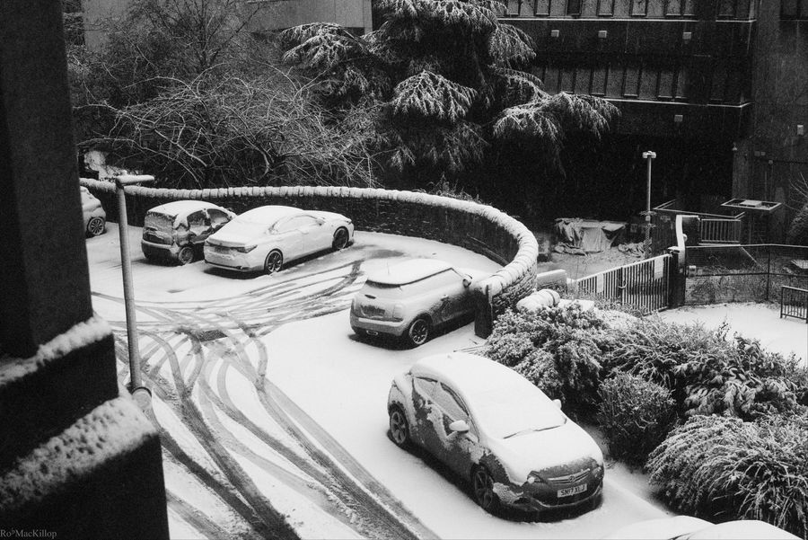 Snow Tracks, Edinburgh