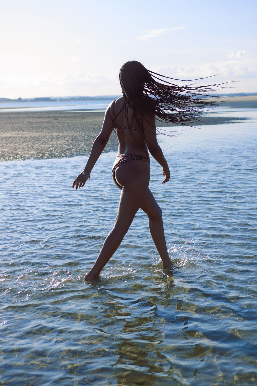 wild wind