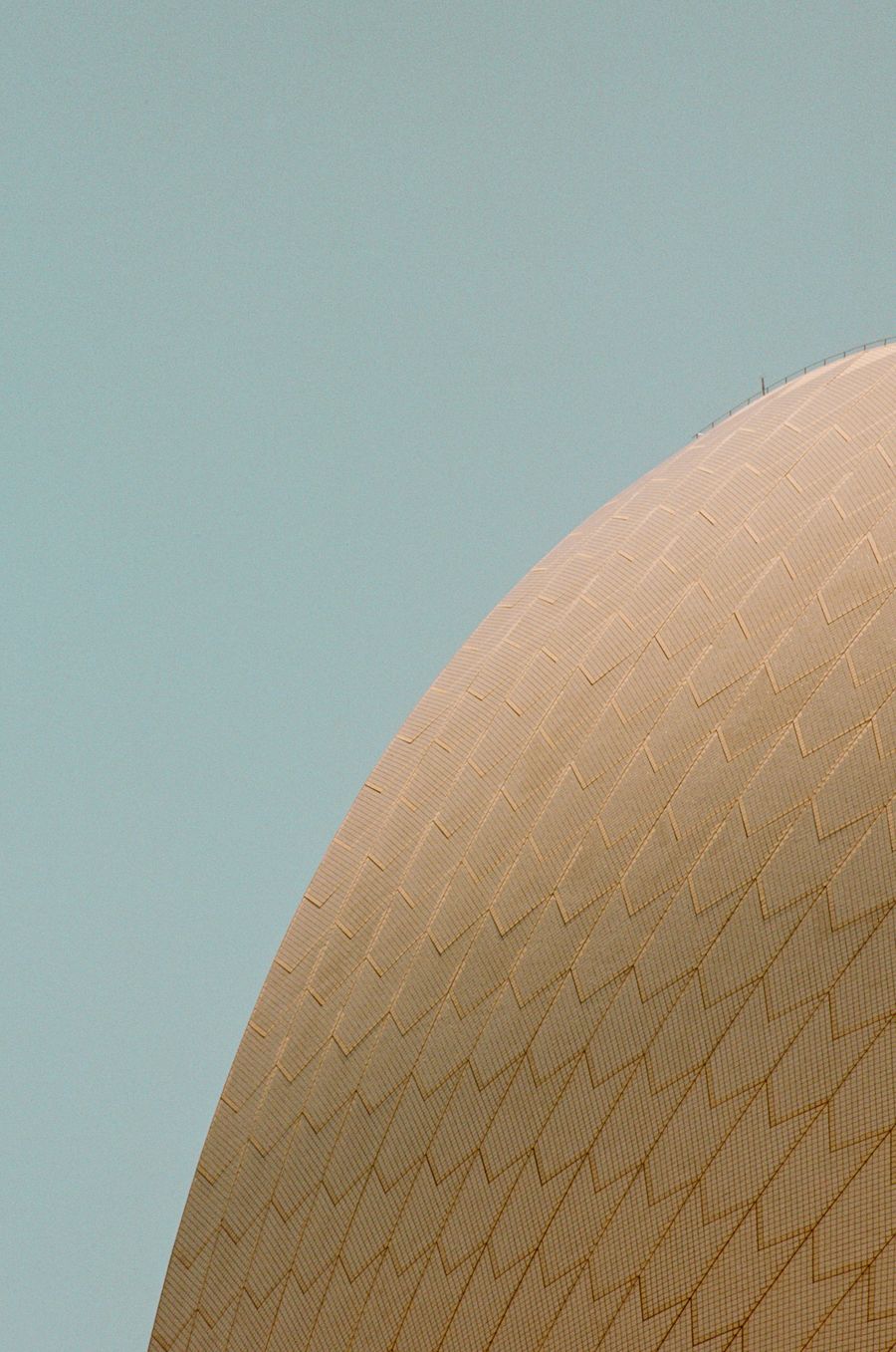 The Shell