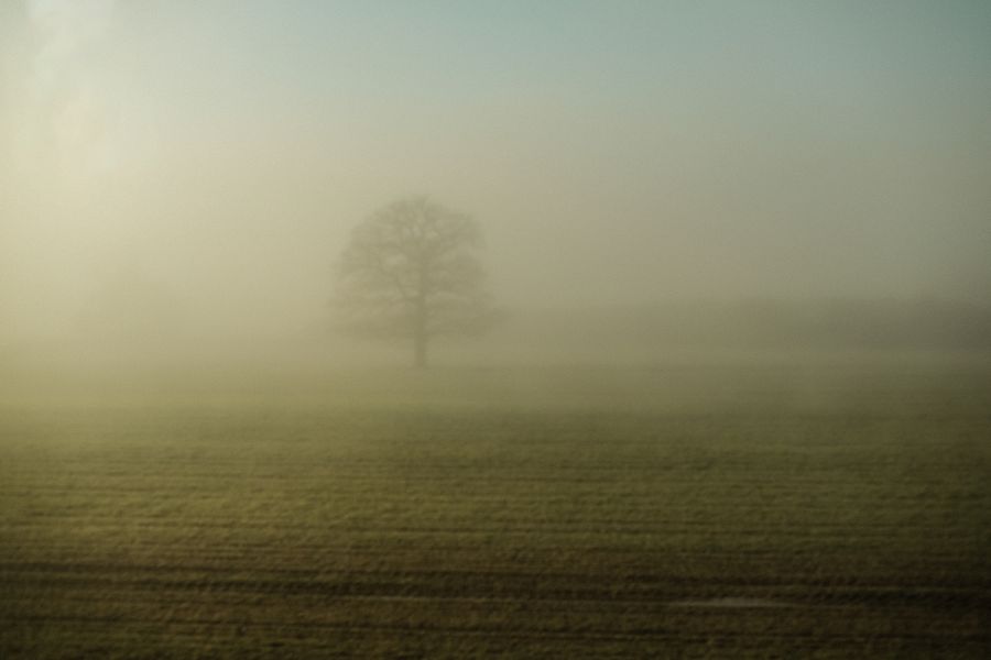Misty Morning