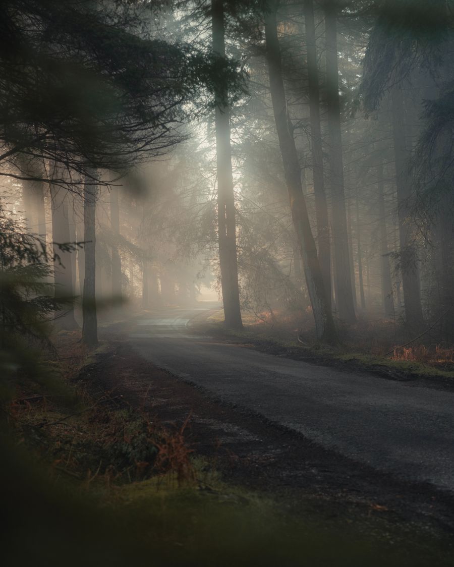 Misty morning drive