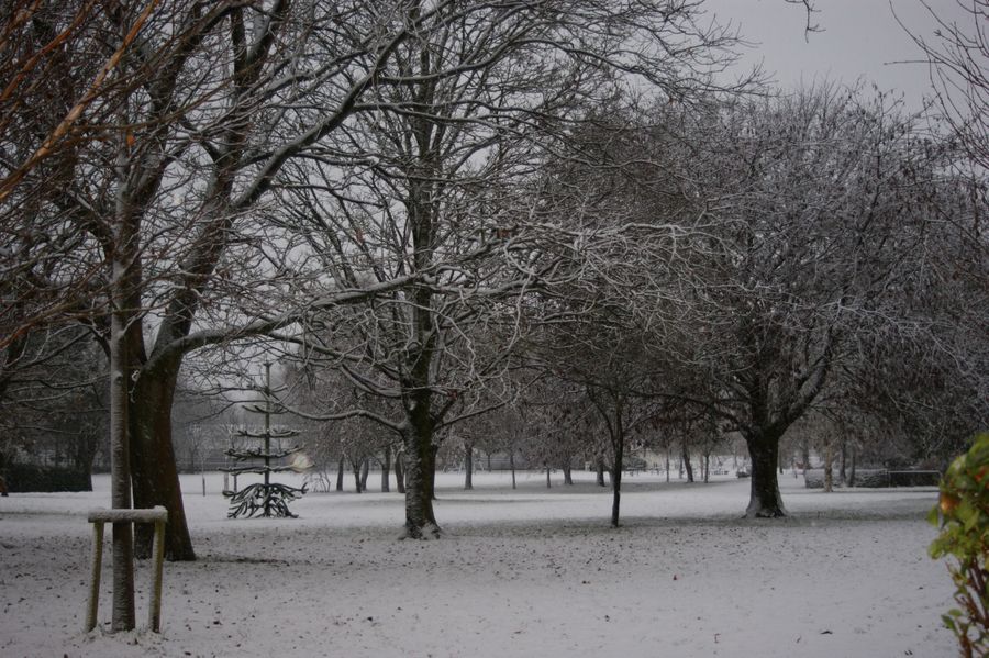 Kings Park in the snow
