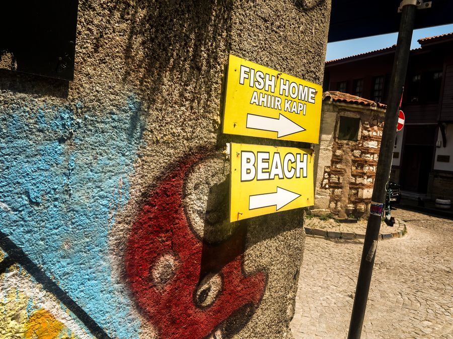 Fish home/Beach