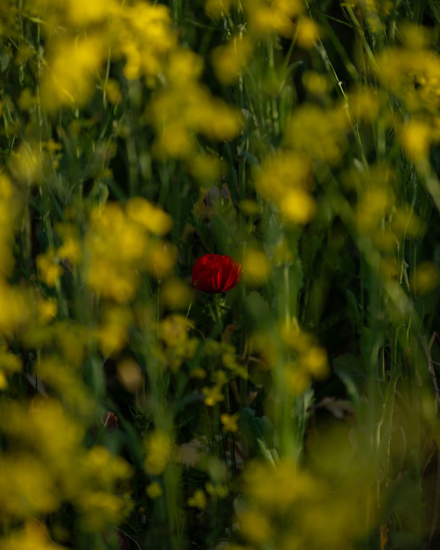 Look Closer