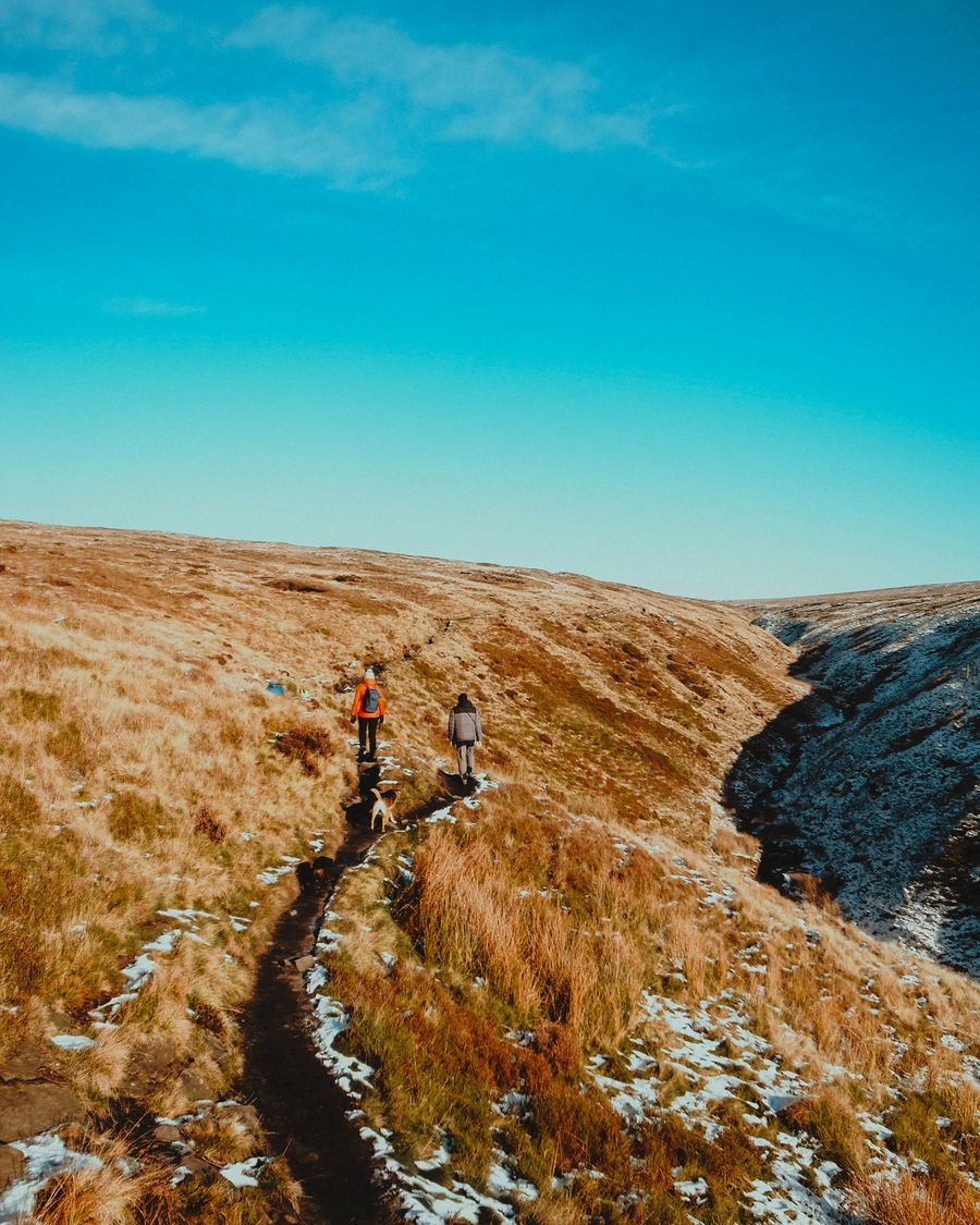 Winter Walk on the Moors