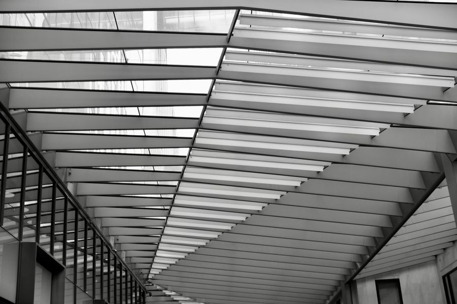Lines