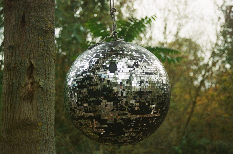 Woodland Disco