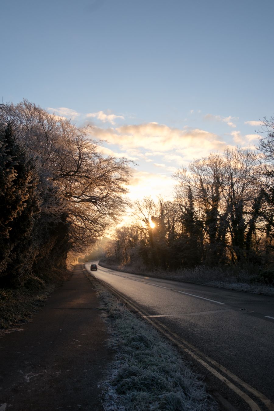 Sunny Frosty Morning