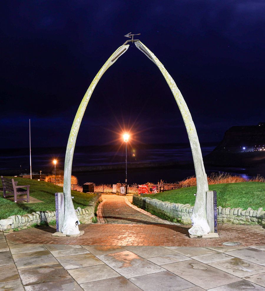 Whitby Whale Bones