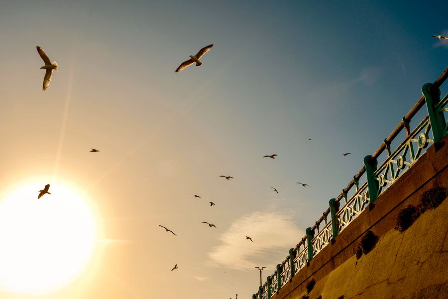 Coastal Gold