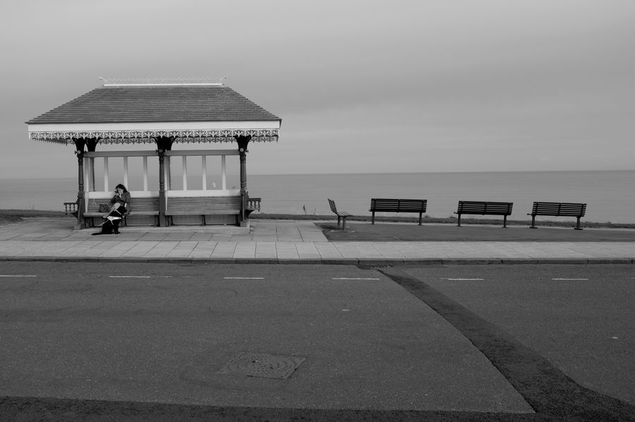 Whitby number one 2024