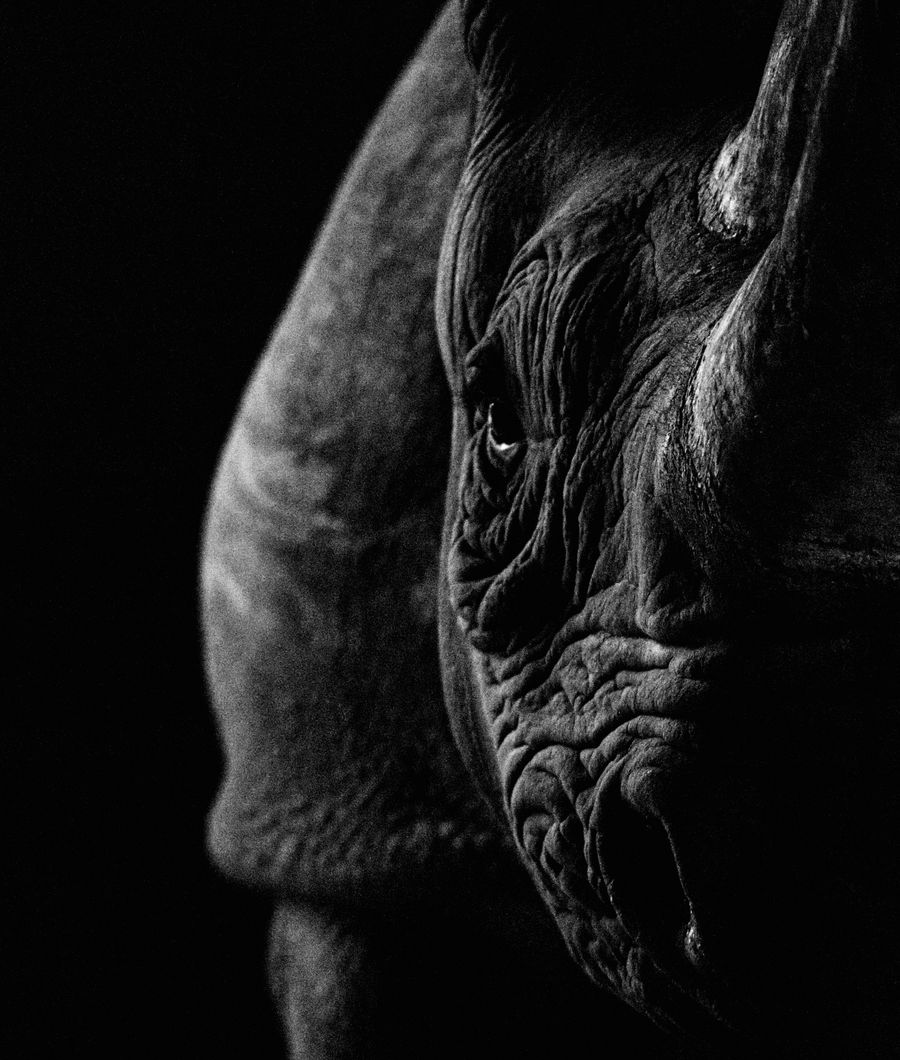 Nandi