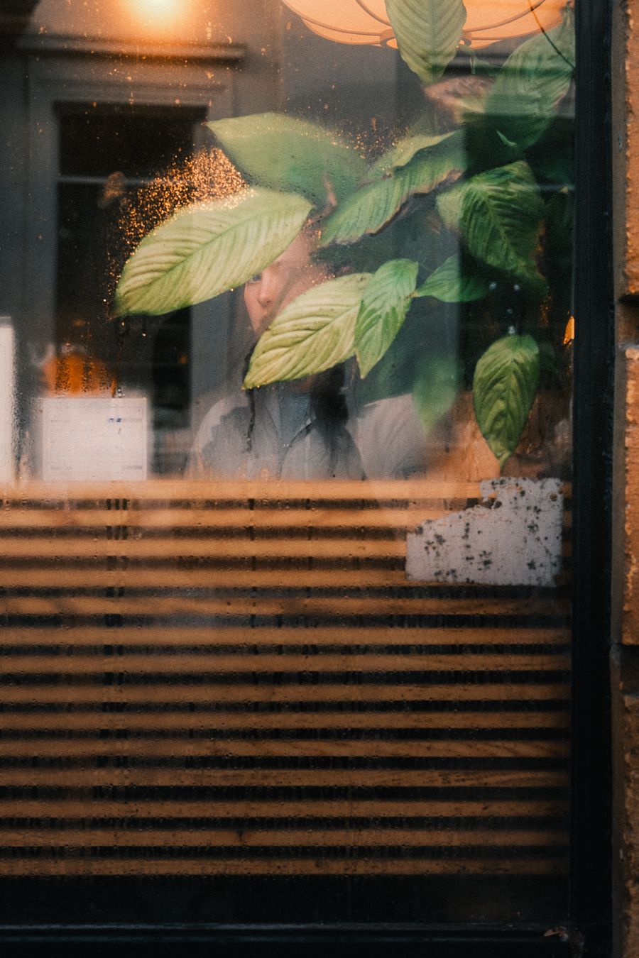 Steamed Window