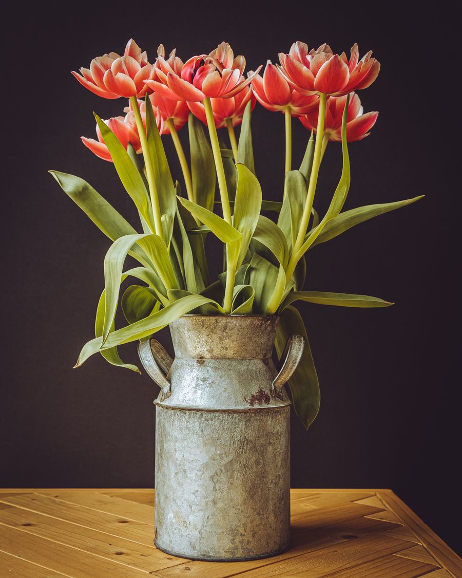 Rustic Tulip Arrangement in Vintage Vase